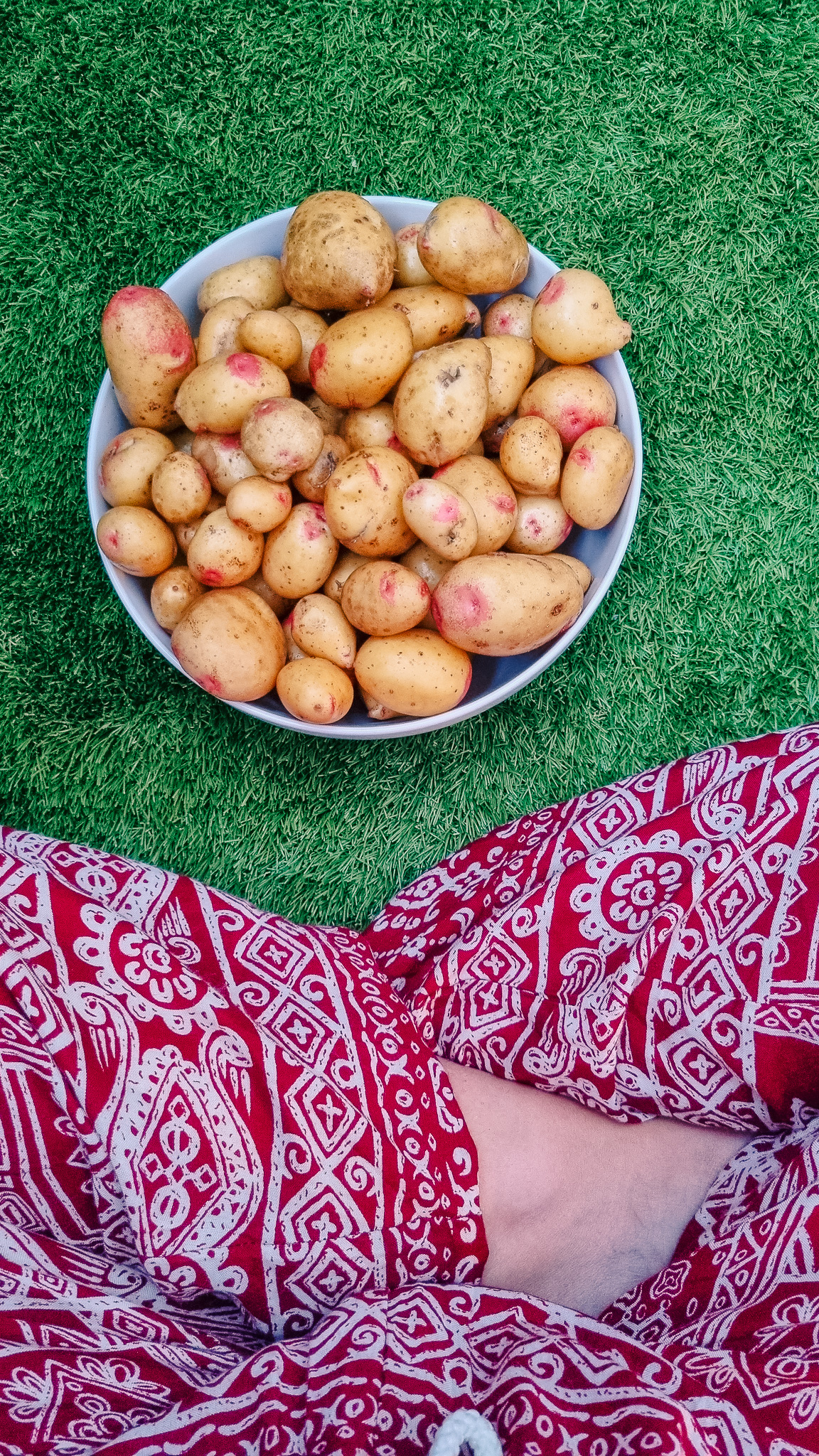 balcony garden potatoes