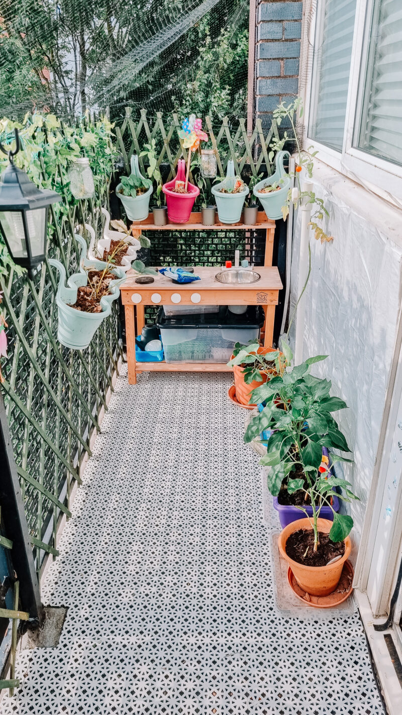 Balcony Gardening How to Grow Your Own Veggies in a Balcony Garden